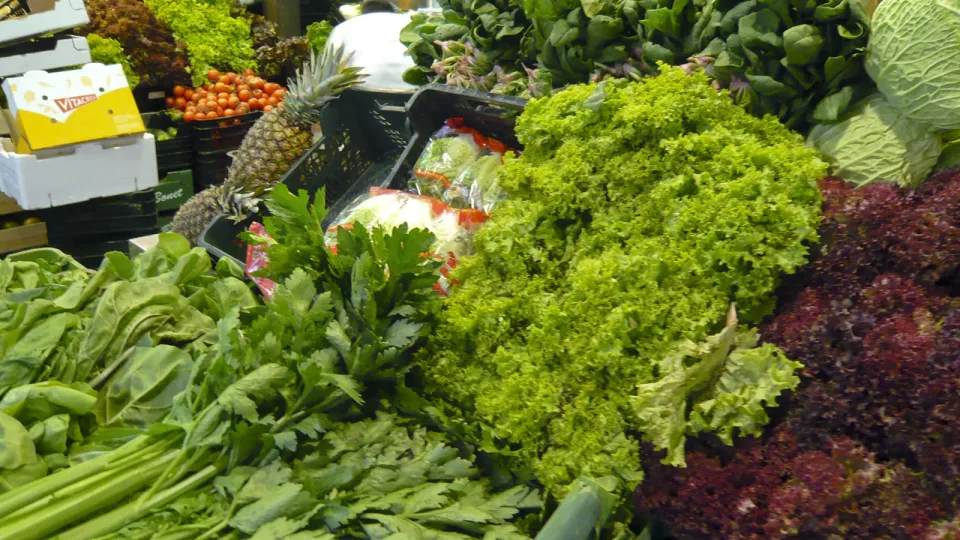 Puesto de verduras y hortalizas frescas en un mercado de Barcelona: lechugas, espinacas y apio. Foto de archivo de un pequeño negocio de venta directa.